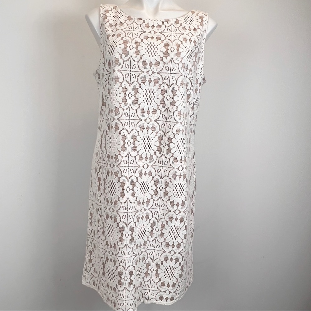 Eliza J lace sleeveless sheath shift dress